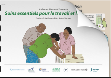 ECL&B Flip Chart, African graphics